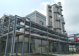 年產30萬噸燃料乙醇蒸餾脫水裝置項目